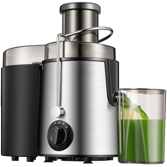 Powerful 800W Fruit & Vegetable Juicer